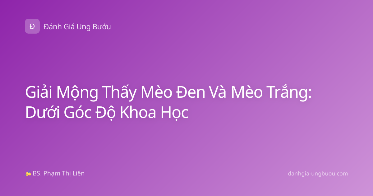 Giải Mộng Thấy Mèo Đen Và Mèo Trắng: Dưới Góc Độ Khoa Học