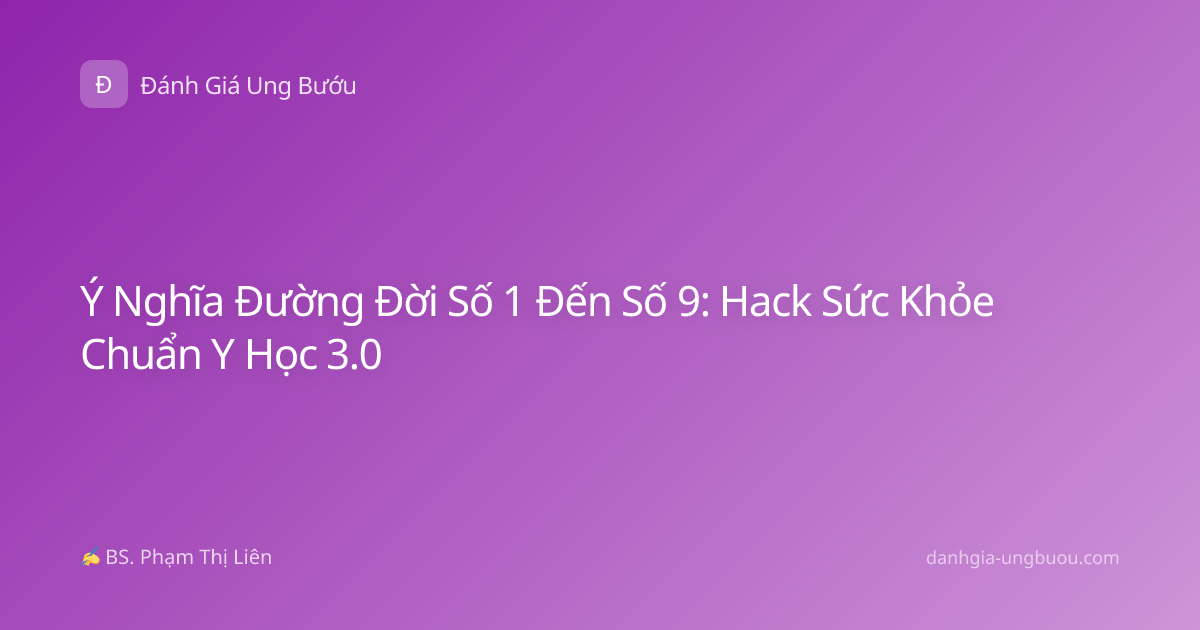 Ý Nghĩa Đường Đời Số 1 Đến Số 9: Hack Sức Khỏe Chuẩn Y Học 3.0